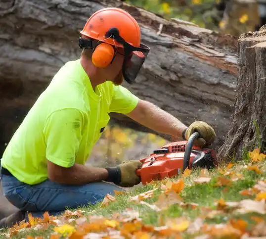 tree services Inverness